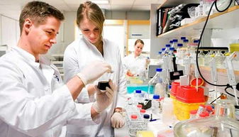 生物技術(shù)開(kāi)發(fā) 光環(huán)背后的現(xiàn)實(shí)挑戰(zhàn)與未來(lái)之路