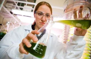 生物工程 一門(mén)融合生命科學(xué)與工程技術(shù)的交叉學(xué)科